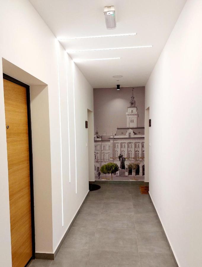 Kej Danube Lux Free Garage Lejlighed Novi Sad Eksteriør billede